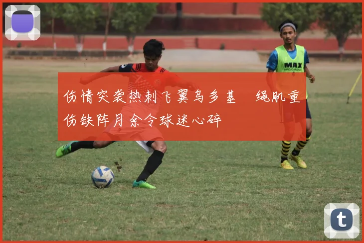 伤情突袭热刺飞翼乌多基腘绳肌重伤缺阵月余令球迷心碎