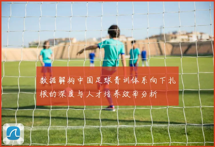 数据解构中国足球青训体系向下扎根的深度与人才培养效率分析