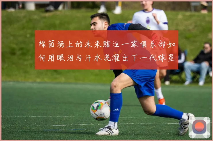 绿茵场上的未来赌注一家俱乐部如何用眼泪与汗水浇灌出下一代球星