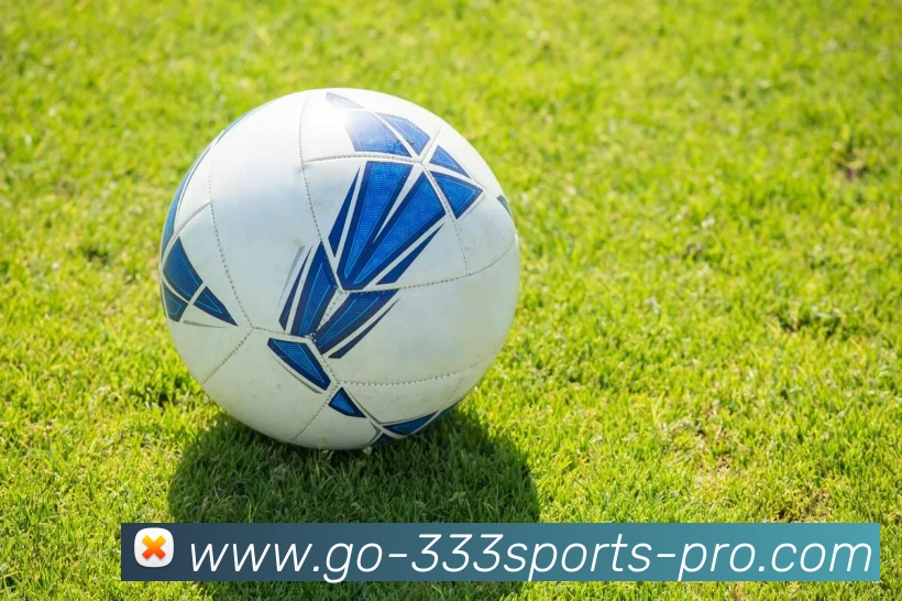 333体育服务体系